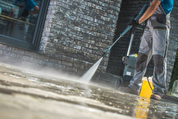 Best Rust Removal  in Long Lake, IL